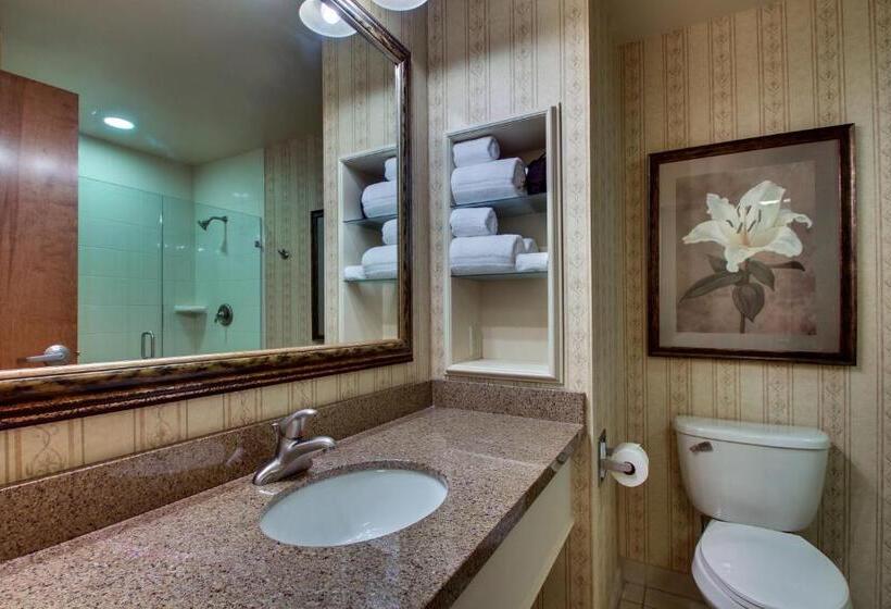 스탠다드 룸 킹사이즈 침대, The Inn At Charles Town / Hollywood Casino