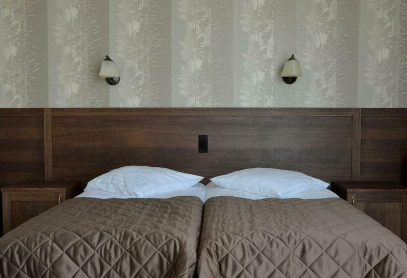 اتاق استاندارد, šaulys