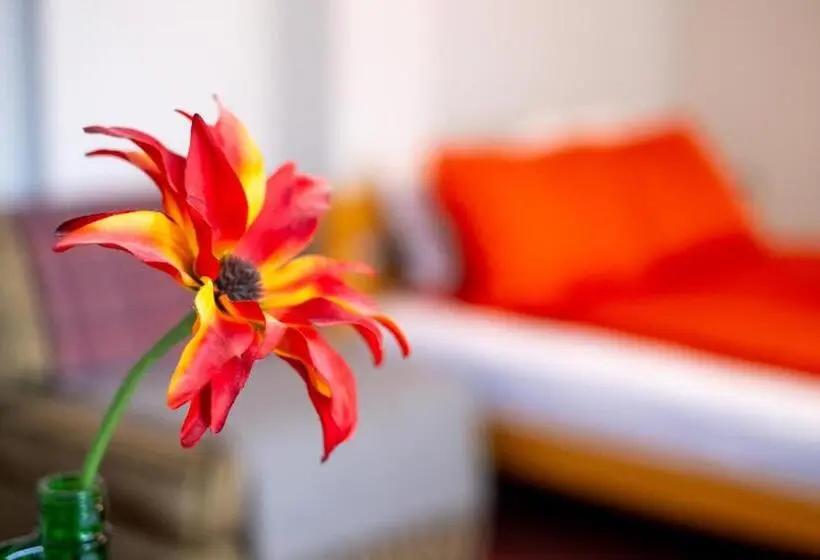 اتاق لوکس سه تخته, Guesthouse Rose