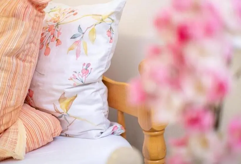 اتاق سوپریور, Guesthouse Rose