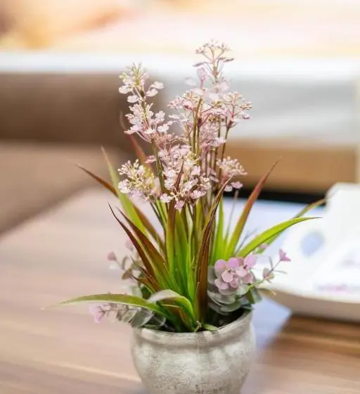 اتاق سوپریور, Guesthouse Rose
