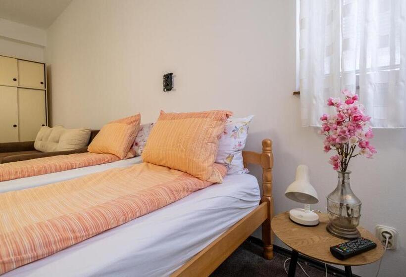 اتاق سوپریور, Guesthouse Rose