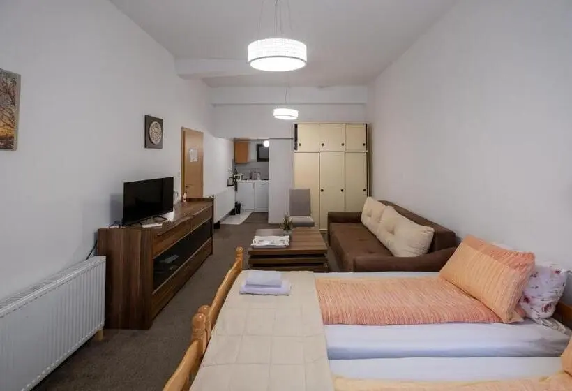اتاق سوپریور, Guesthouse Rose