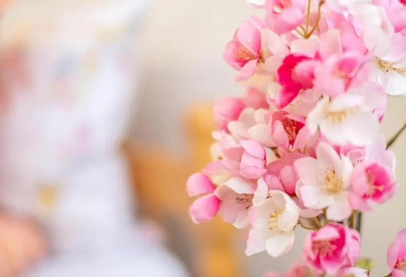 اتاق سوپریور, Guesthouse Rose