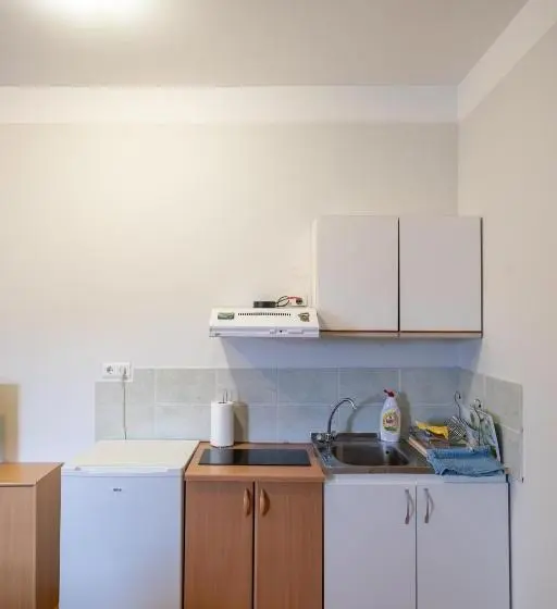 اتاق لوکس, Guesthouse Rose
