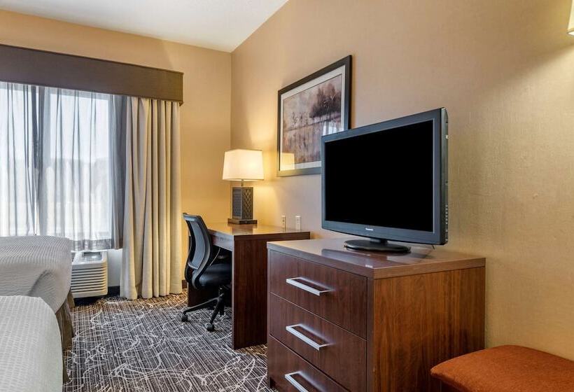 סוויטה, Best Western Plus Chelsea