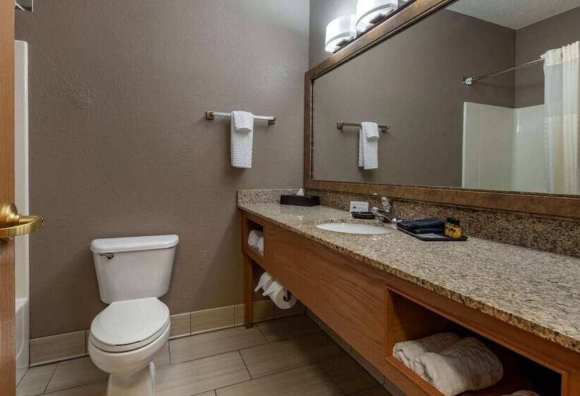 Люкс, Best Western Plus Chelsea
