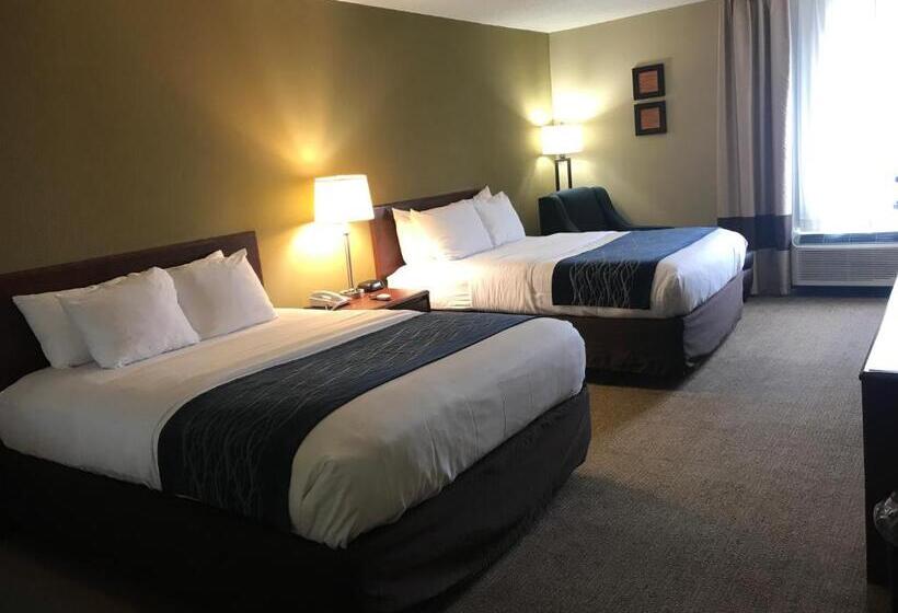스탠다드 룸, Comfort Inn