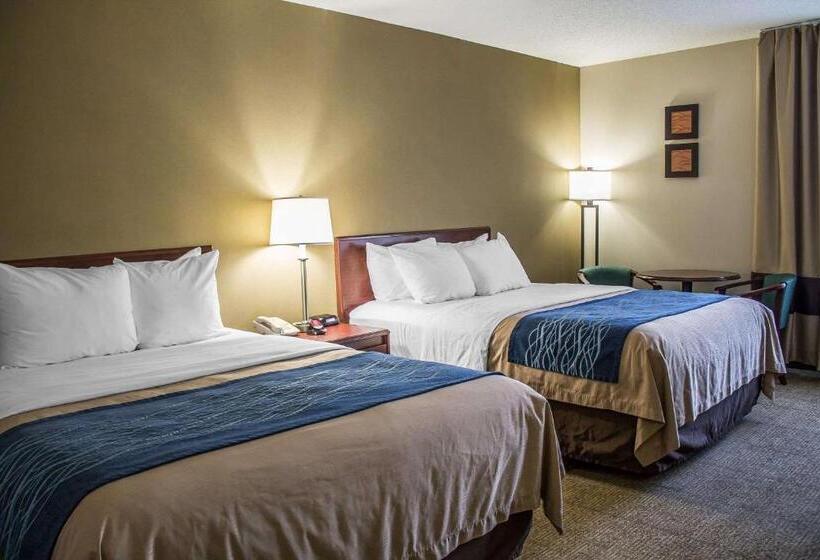 스탠다드 룸, Comfort Inn