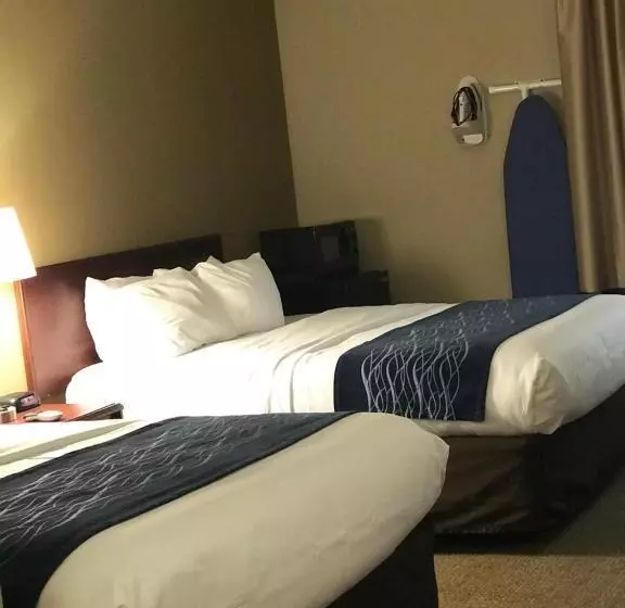 身障者適用スタンダードルーム, Comfort Inn