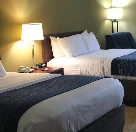 身障者適用スタンダードルーム, Comfort Inn