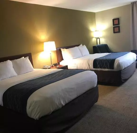 身障者適用スタンダードルーム, Comfort Inn