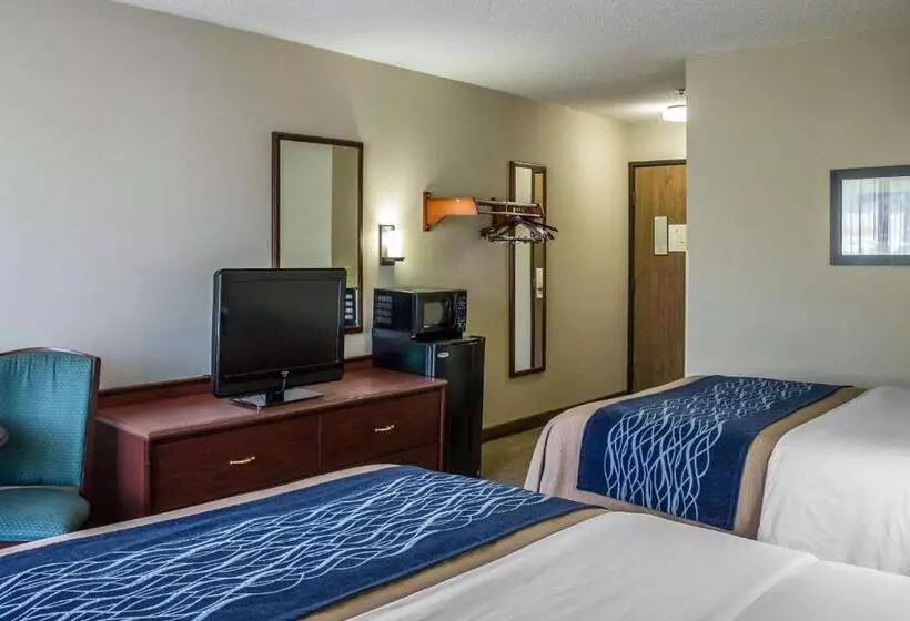 身障者適用スタンダードルーム, Comfort Inn