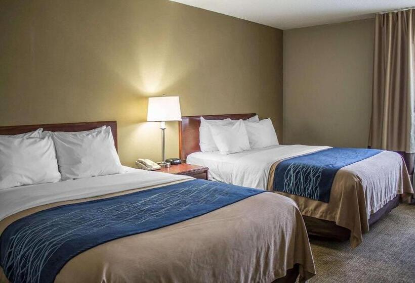 장애인을 위한 스탠다드 룸, Comfort Inn