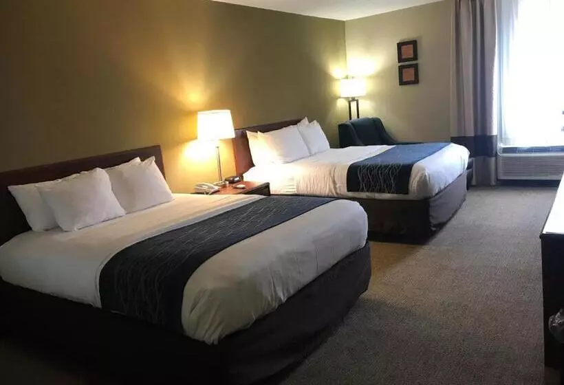 バスタブ付きスタンダードルーム, Comfort Inn