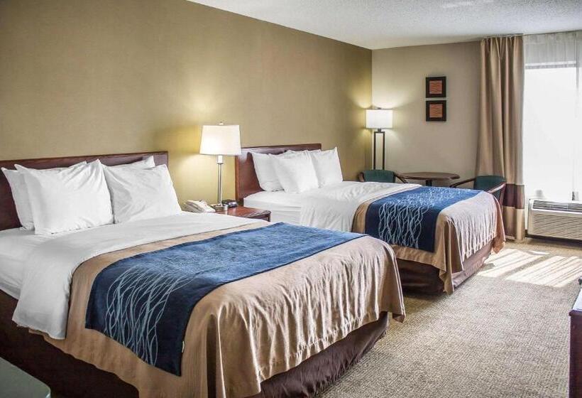 스탠다드 자쿠지 룸, Comfort Inn