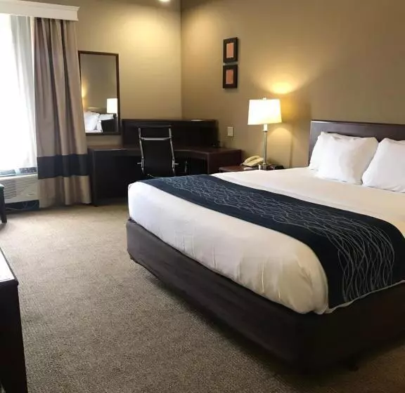 キングサイズベッドのスタンダードルーム, Comfort Inn