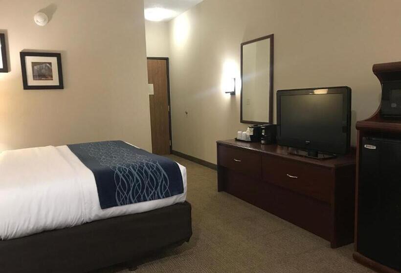 스탠다드 룸 킹사이즈 침대, Comfort Inn