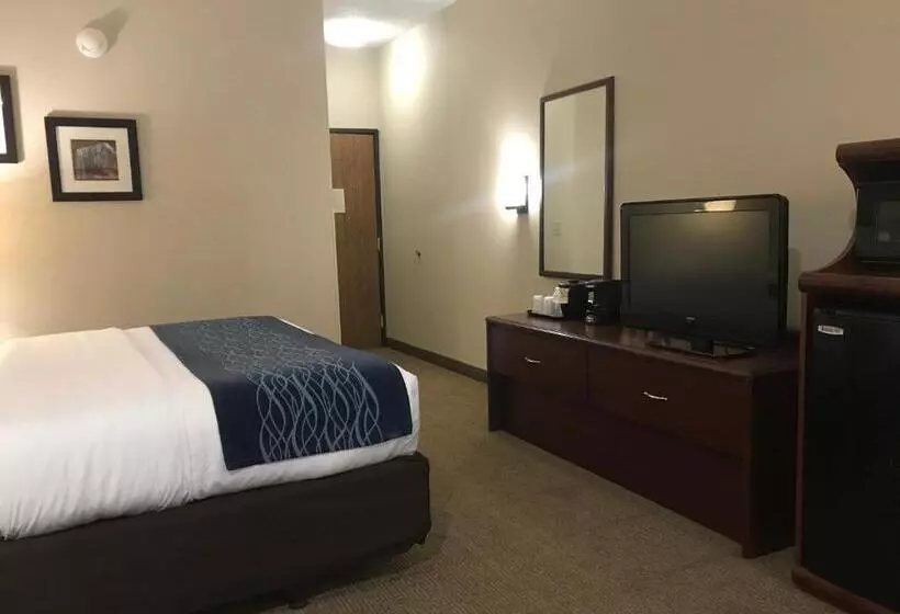 キングサイズベッドのスタンダードルーム, Comfort Inn