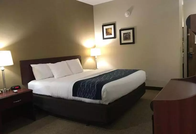 キングサイズベッドのスタンダードルーム, Comfort Inn