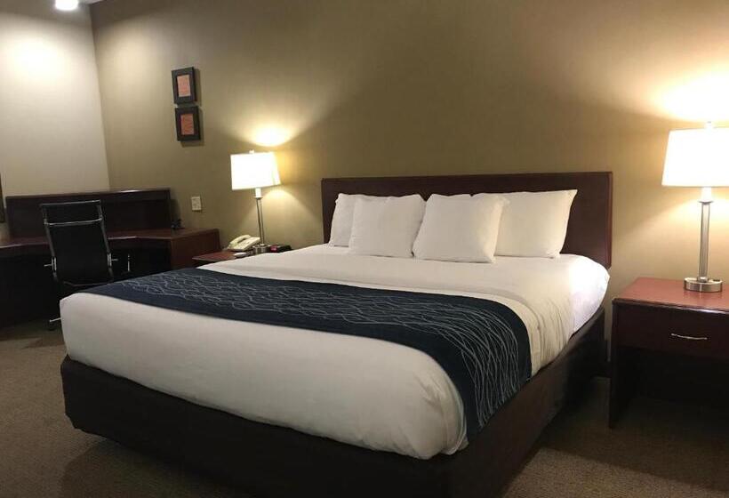 스탠다드 룸 킹사이즈 침대, Comfort Inn