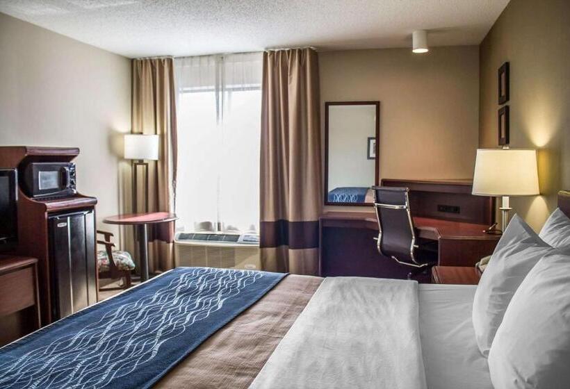 스탠다드 룸 킹사이즈 침대, Comfort Inn