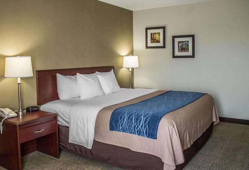 스탠다드 룸 킹사이즈 침대, Comfort Inn