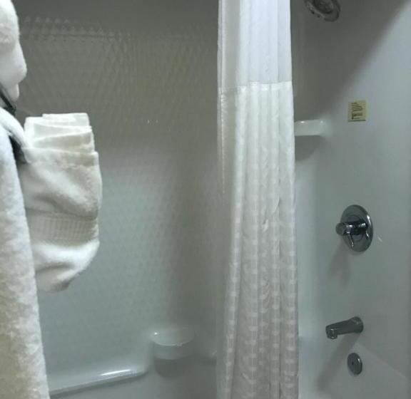 장애인을 위한 스탠다드 룸, Comfort Inn