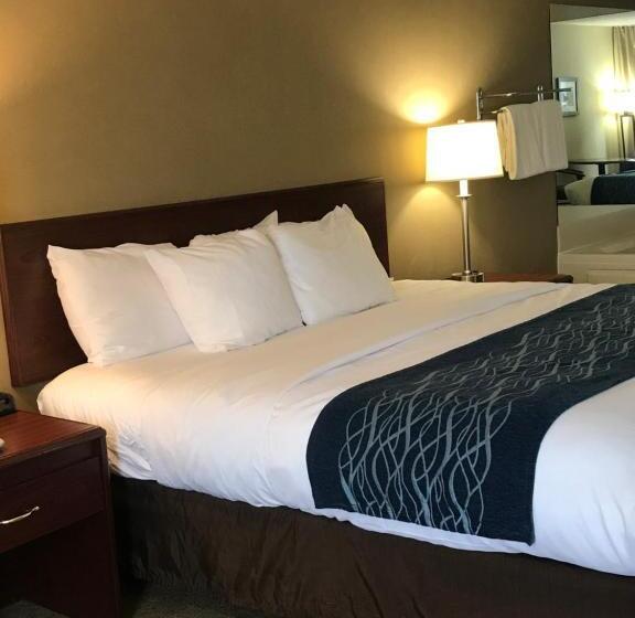 스탠다드 룸 킹사이즈 침대, Comfort Inn