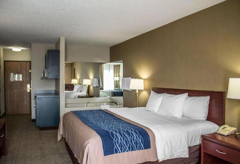 스탠다드 룸 킹사이즈 침대, Comfort Inn