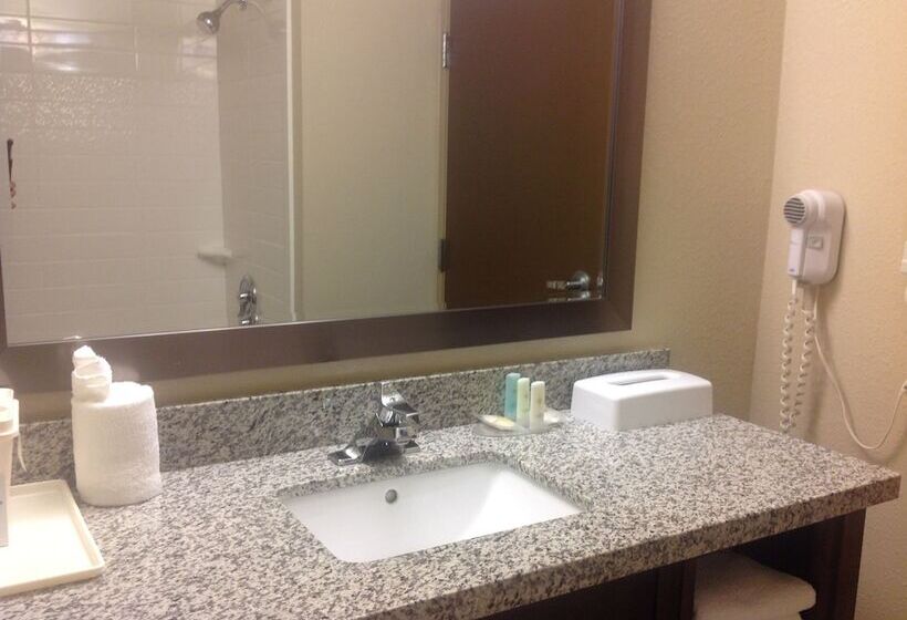 スタンダードルーム, Comfort Inn Dunn Near I95