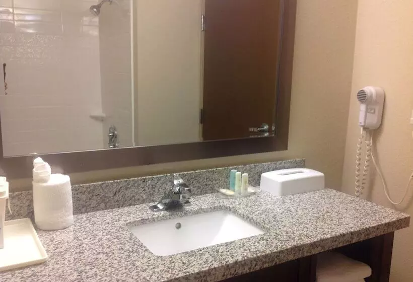 スタンダードルーム, Comfort Inn Dunn Near I95