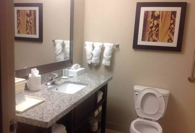 スタンダードルーム, Comfort Inn Dunn Near I95