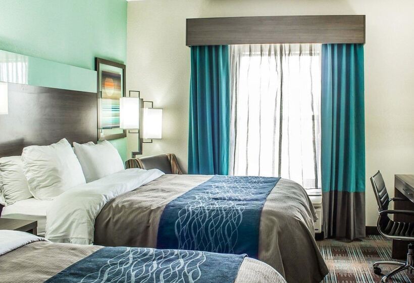 スタンダードルーム, Comfort Inn Dunn Near I95