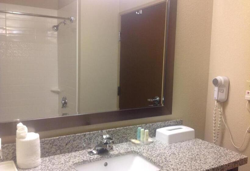 キングサイズベッドのスタンダードルーム, Comfort Inn Dunn Near I95