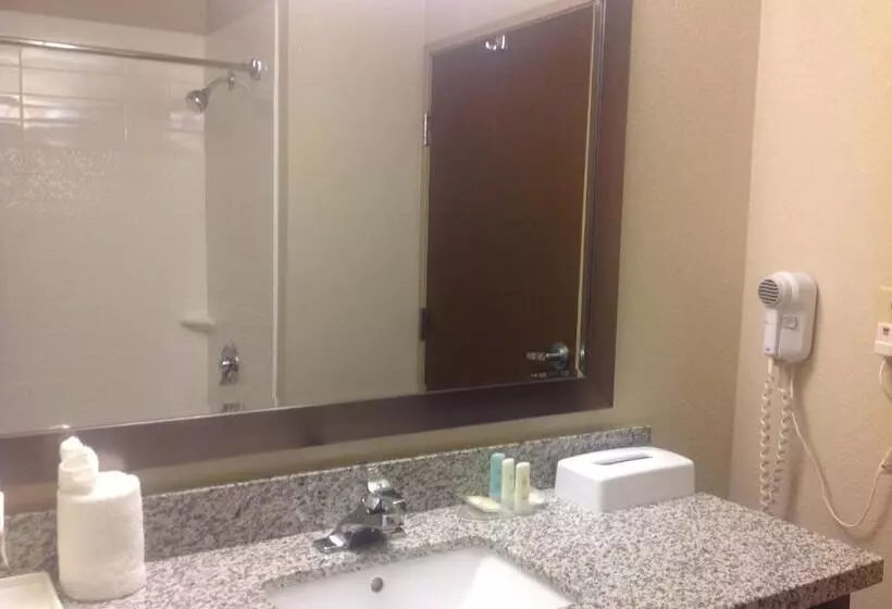 キングサイズベッドのスタンダードルーム, Comfort Inn Dunn Near I95