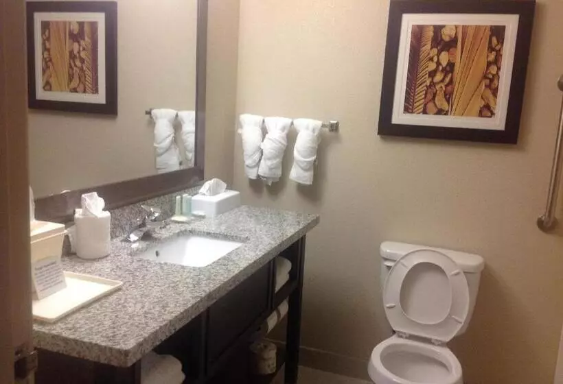 キングサイズベッドのスタンダードルーム, Comfort Inn Dunn Near I95