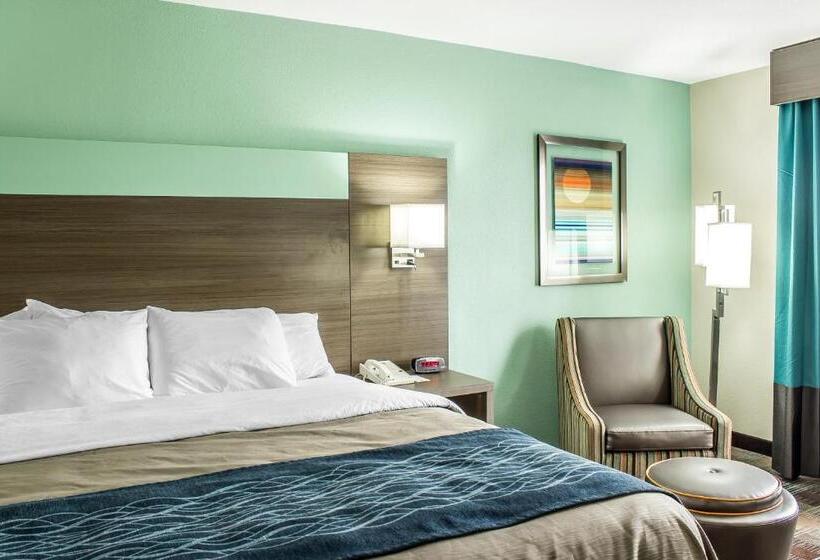 キングサイズベッドのスタンダードルーム, Comfort Inn Dunn Near I95