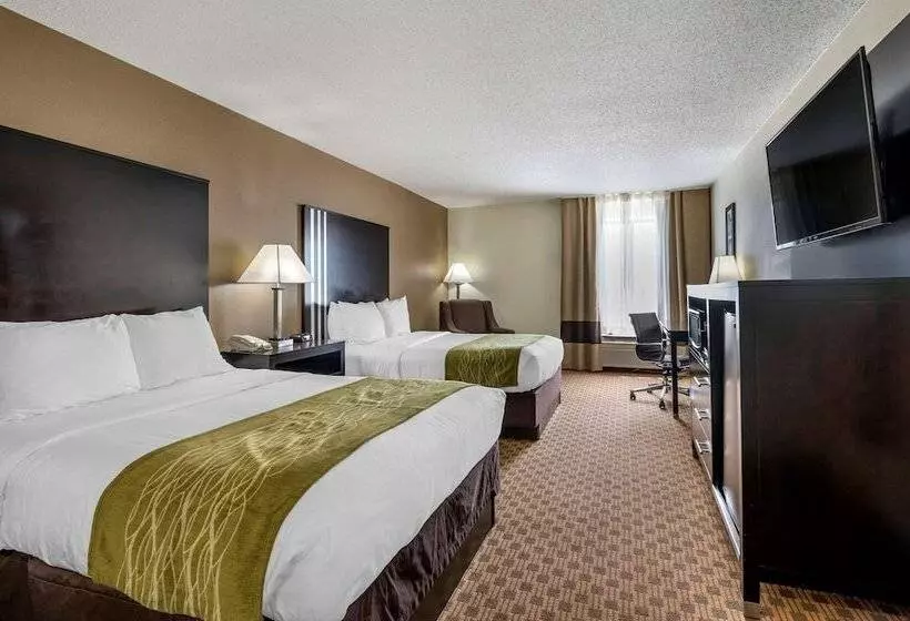 اتاق استاندارد با 2 تخت دوبل, Comfort Inn East