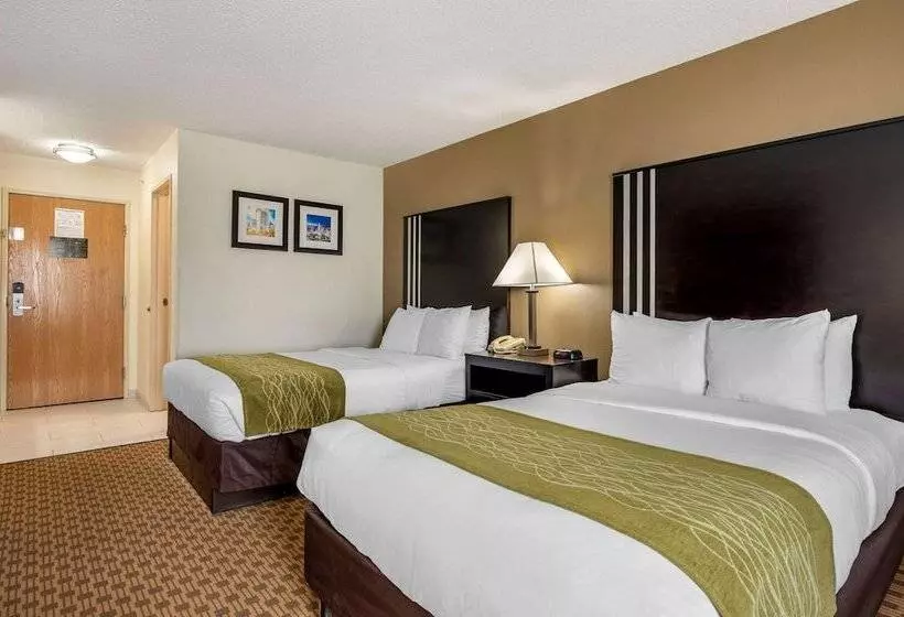 اتاق استاندارد با 2 تخت دوبل, Comfort Inn East