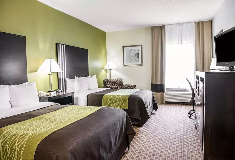اتاق استاندارد با 2 تخت دوبل, Comfort Inn East