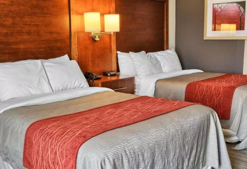 ２ダブルベッドのスタンダードルーム, Comfort Inn Ruther Glen Near Kings Dominion
