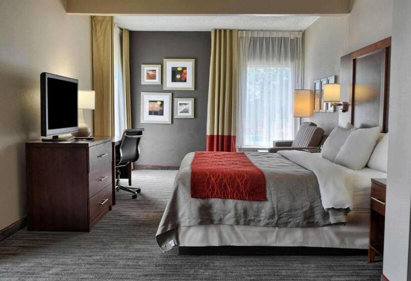 带大床的套房, Comfort Inn Ruther Glen Near Kings Dominion