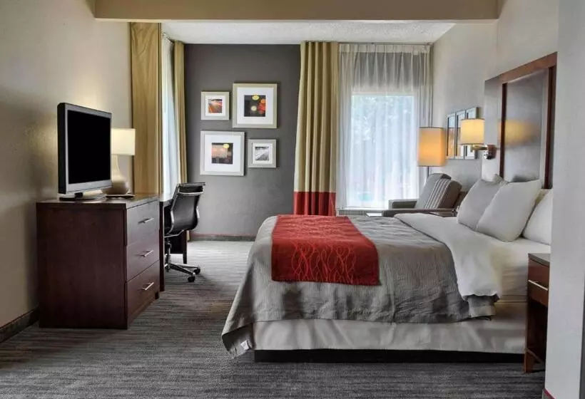 キングサイズベッドのスイートルーム, Comfort Inn Ruther Glen Near Kings Dominion
