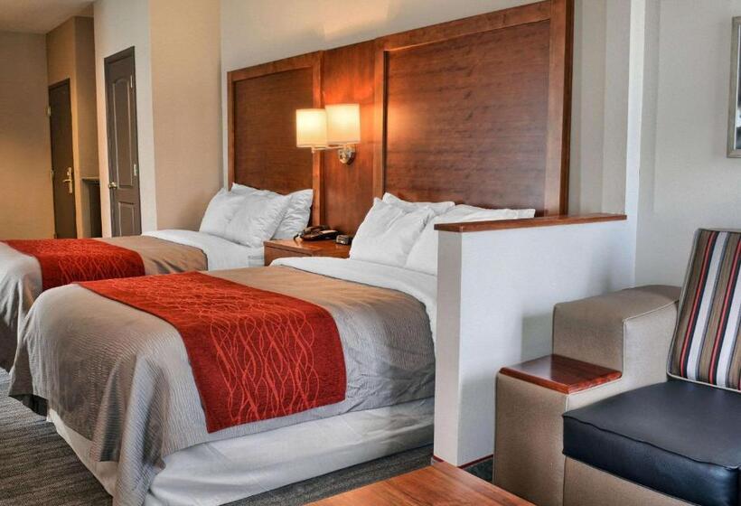 套房, Comfort Inn Ruther Glen Near Kings Dominion