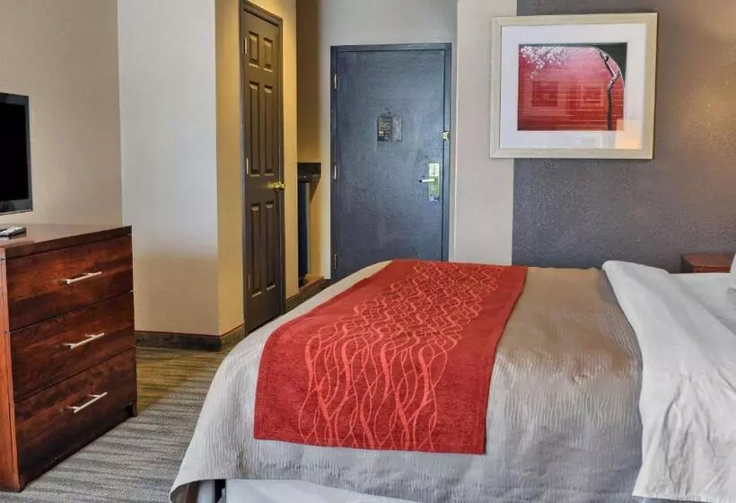 キングサイズベッドのスタンダードルーム, Comfort Inn Ruther Glen Near Kings Dominion