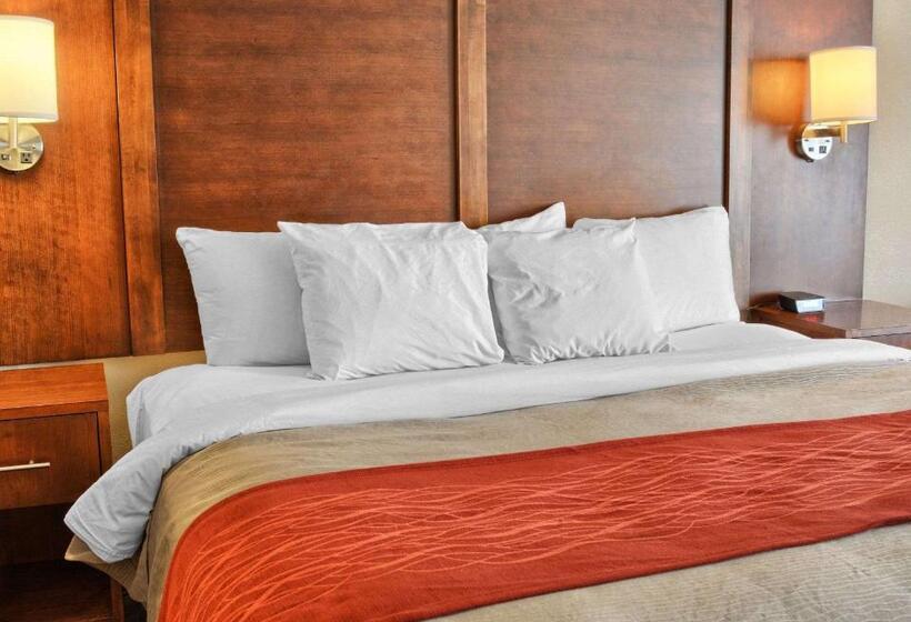 带大床的标准间, Comfort Inn Ruther Glen Near Kings Dominion
