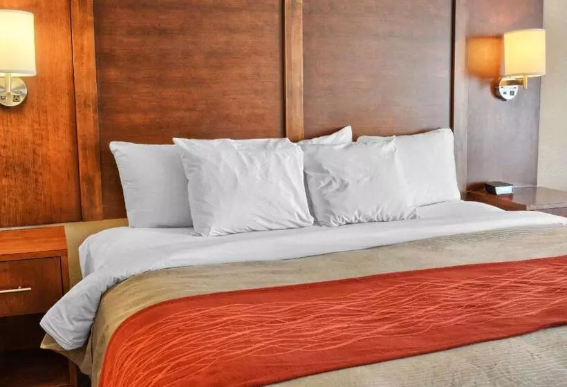 キングサイズベッドのスタンダードルーム, Comfort Inn Ruther Glen Near Kings Dominion