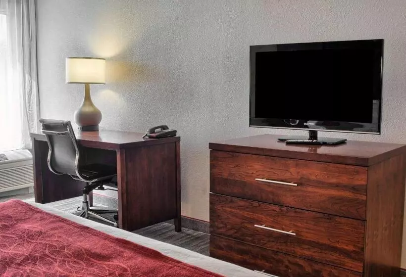 キングサイズベッドのスタンダードルーム, Comfort Inn Ruther Glen Near Kings Dominion