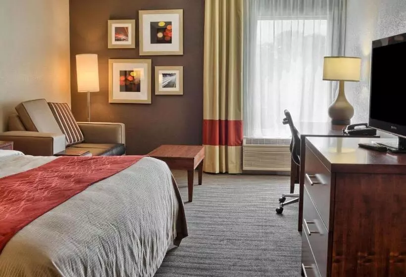 キングサイズベッドのスタンダードルーム, Comfort Inn Ruther Glen Near Kings Dominion
